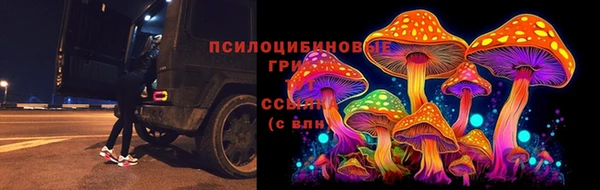спиды Армянск