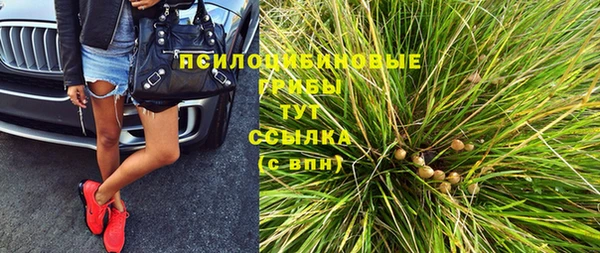 прущий лед Аркадак