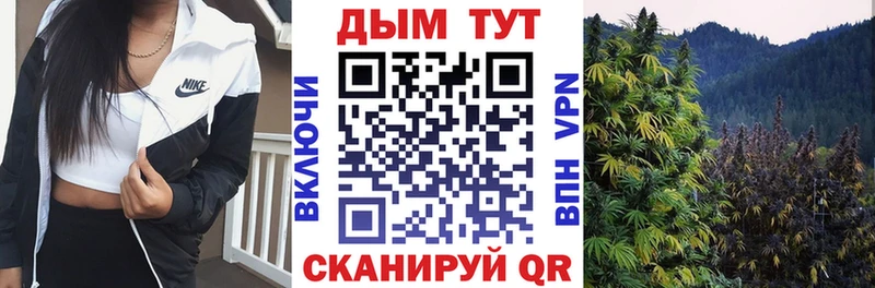 Марихуана AK-47  Купить закладки  Олёкминск 